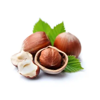 Common  Hazelnut